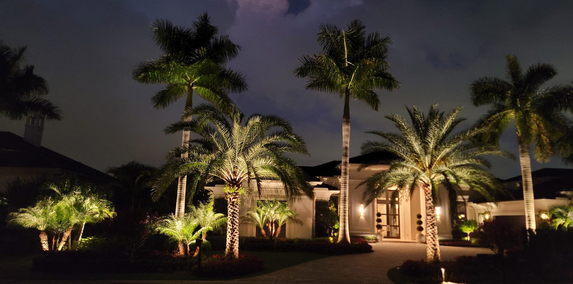 Up Lighting Plants and Palms